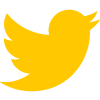twitter social icon